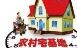 农村宅基地基础信息调查服务
